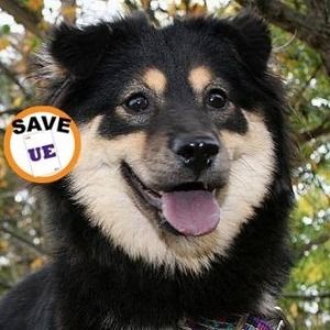 Meet your Posher, Adam